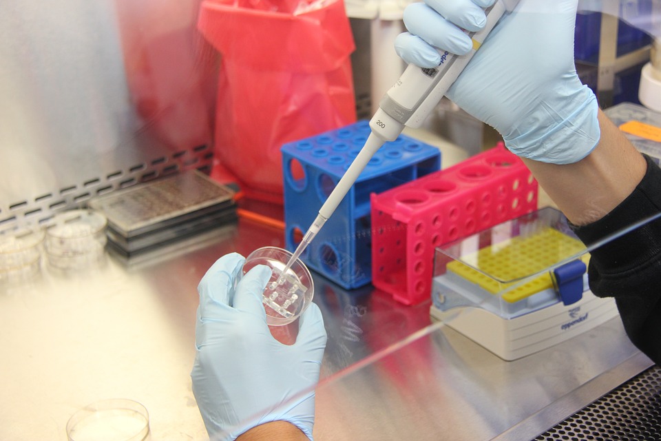 Read more about the article הדרכת בטיחות למעבדות כימיות וביולוגיות
